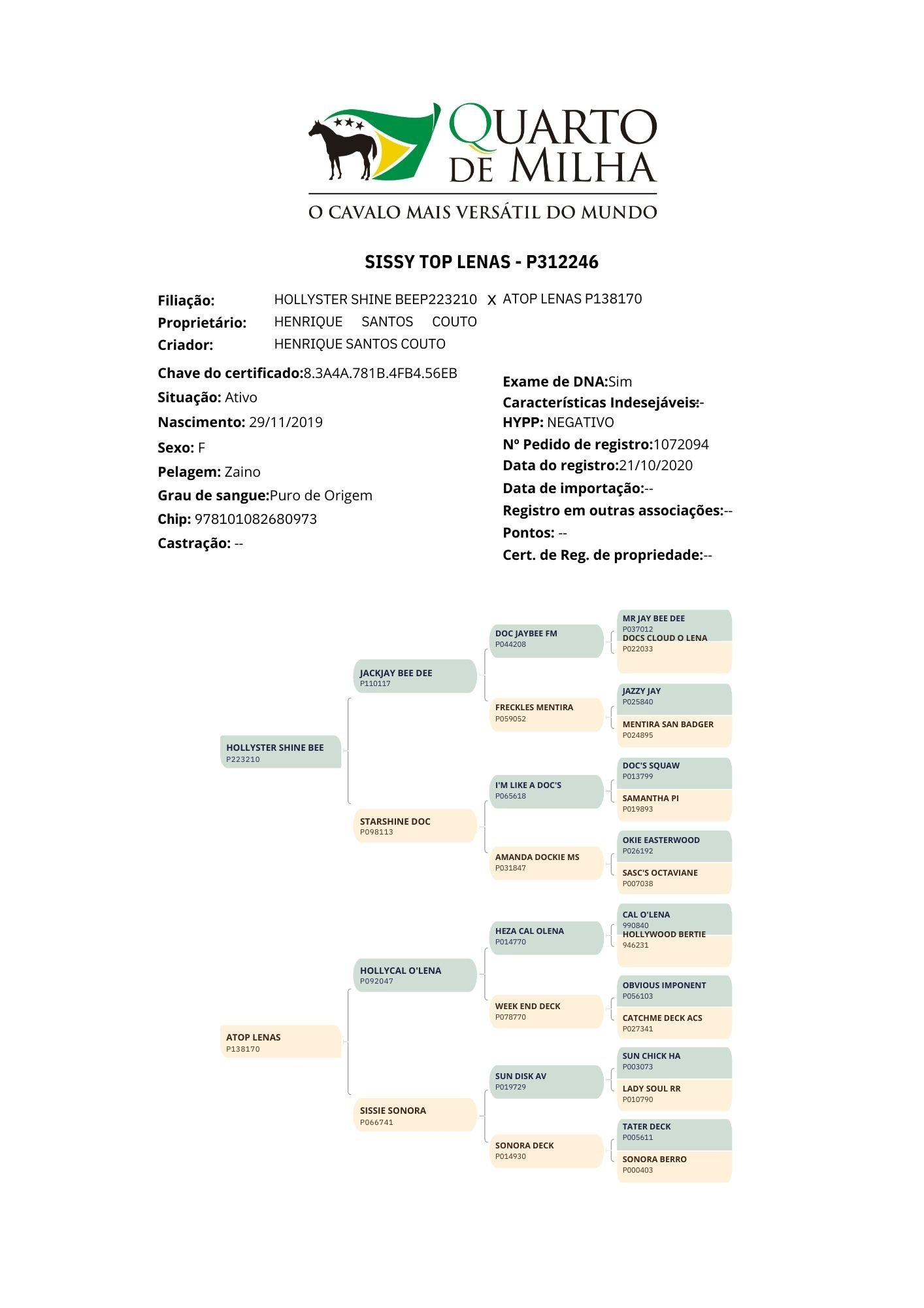 Genealogia de Sissy Top Lenas