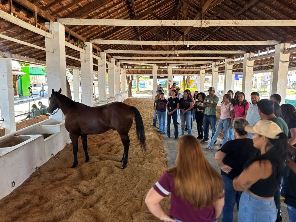 Foto de curso Pró-Criar