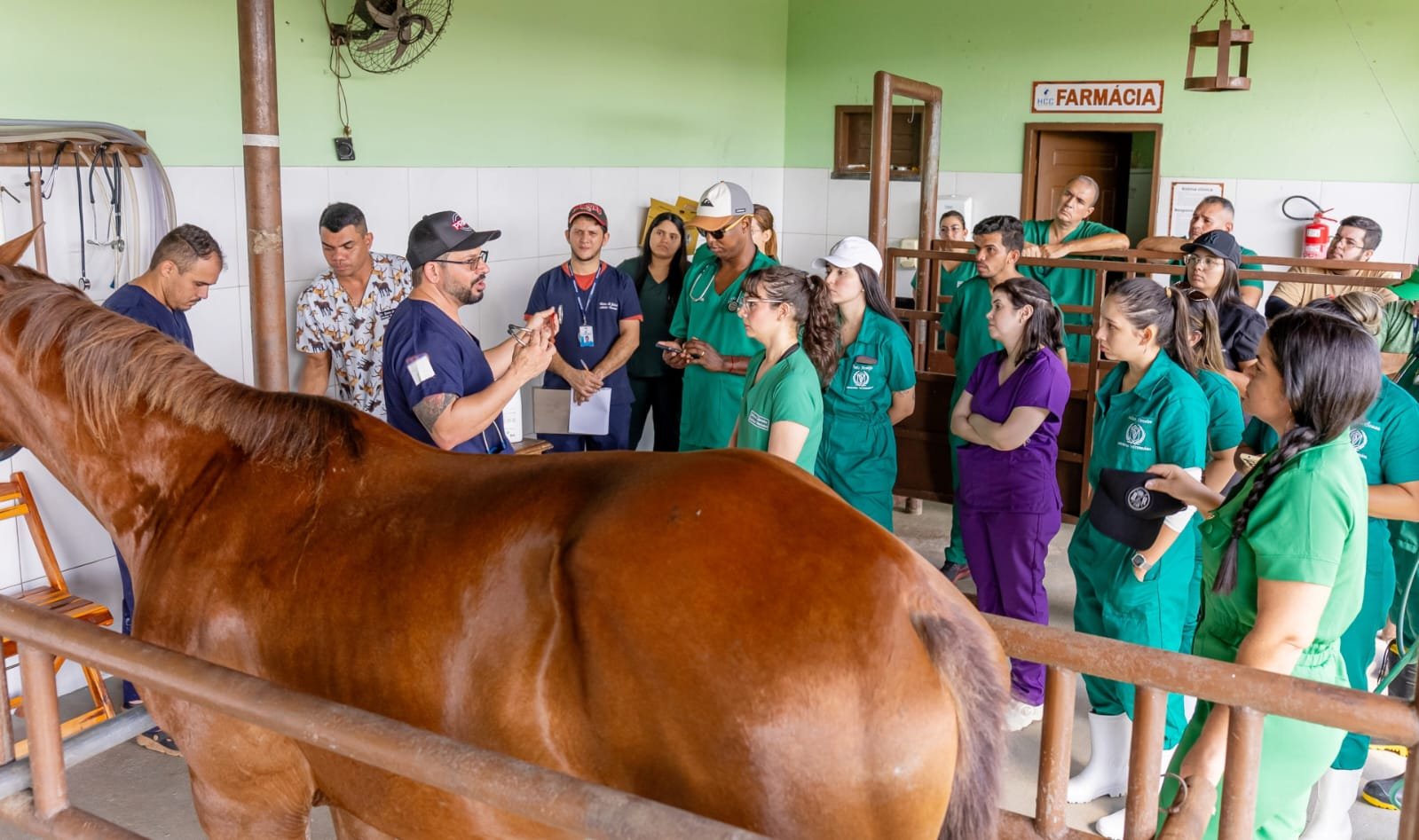Foto de curso Pró-Criar